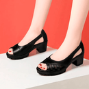 Sandalia Confort Style + Regalo Exclusivo!