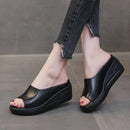 Zapatilla Anatómica Premium de Cuero Genuino + Regalo Exclusivo!